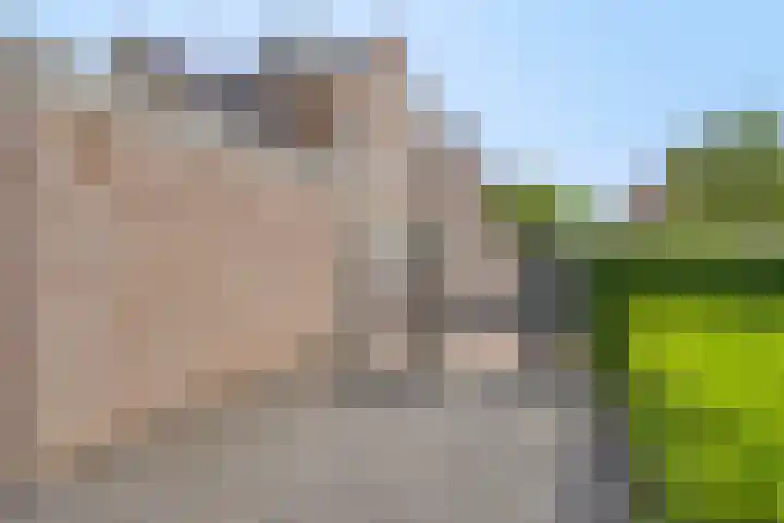 Vleeresteyn 20 Oegstgeest thumbnail 8
