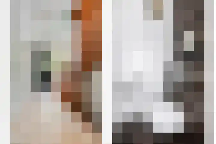 Vleeresteyn 20 Oegstgeest thumbnail 9