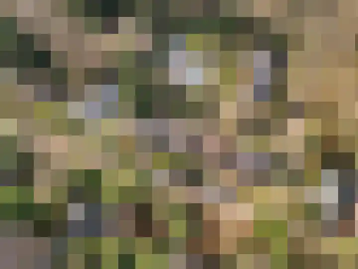 Vleermuislaan 17 Wageningen thumbnail 11
