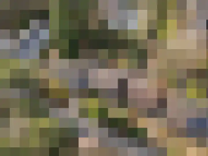 Vleermuislaan 17 Wageningen thumbnail 12
