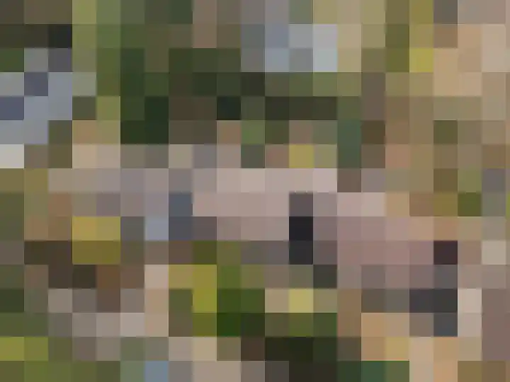 Vleermuislaan 17 Wageningen thumbnail 13