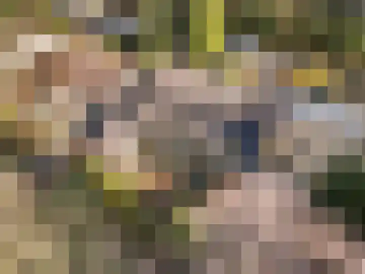 Vleermuislaan 17 Wageningen thumbnail 15