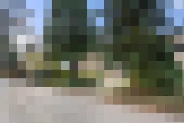 Vleermuislaan 17 Wageningen thumbnail 16