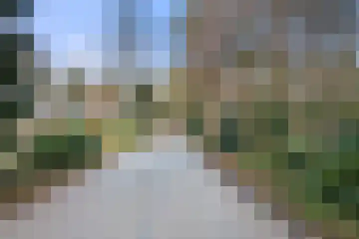 Vleermuislaan 17 Wageningen thumbnail 18