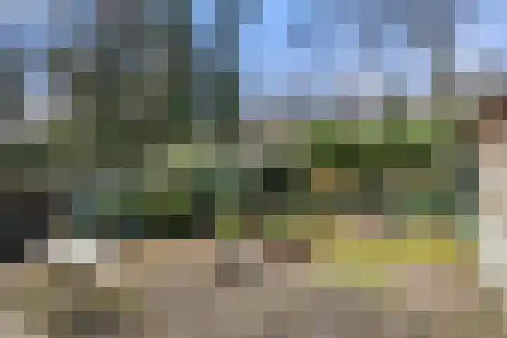 Vleermuislaan 17 Wageningen thumbnail 22