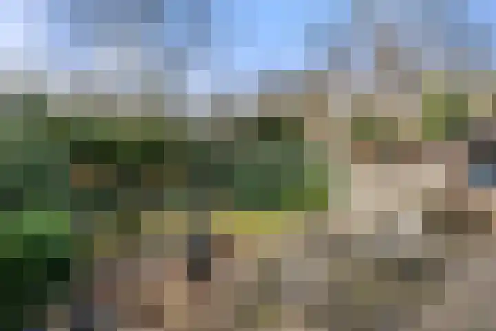 Vleermuislaan 17 Wageningen thumbnail 23