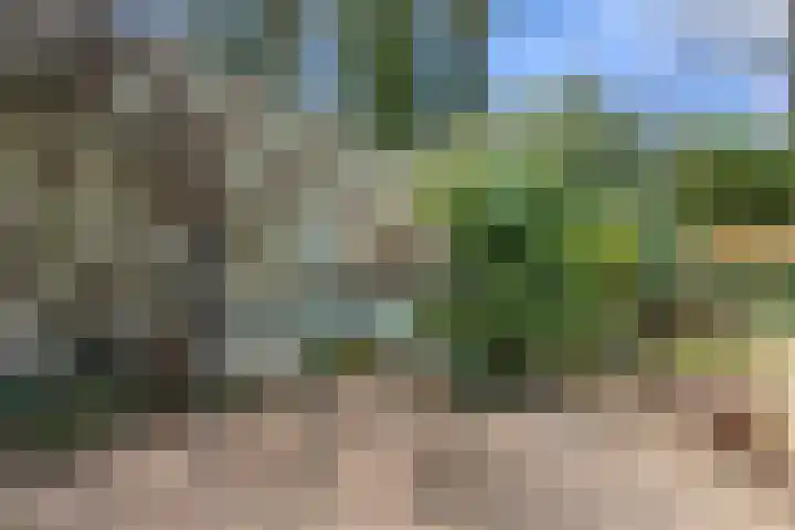 Vleermuislaan 17 Wageningen thumbnail 24