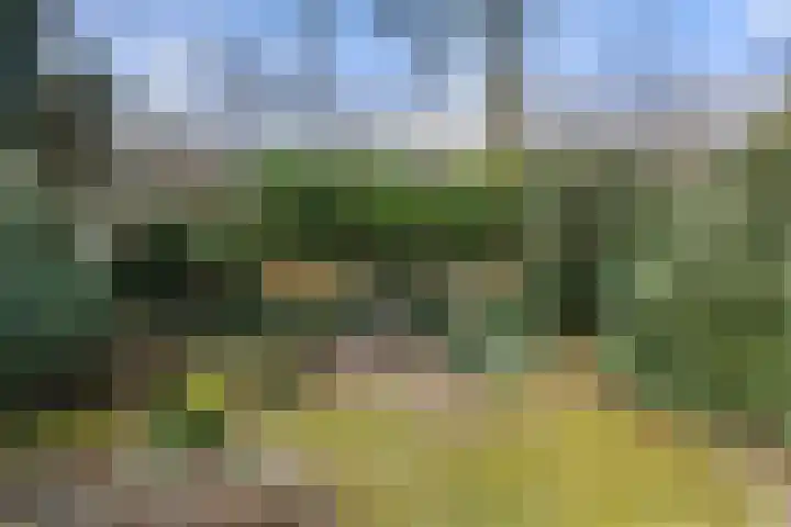 Vleermuislaan 17 Wageningen thumbnail 25