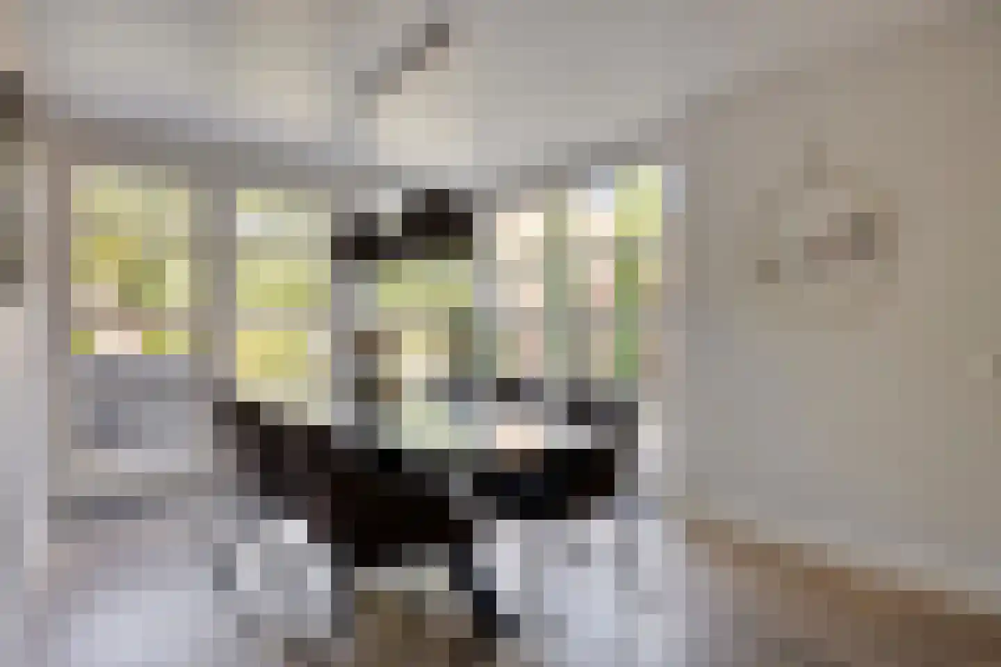 Vleermuislaan 18 Lunteren thumbnail 13