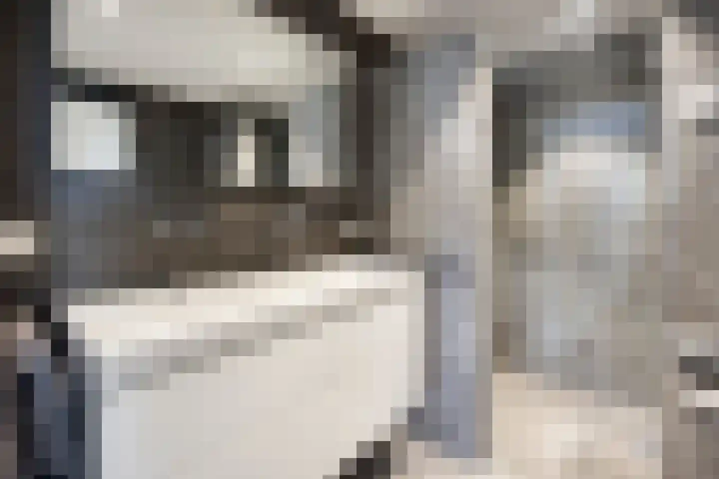 Vleermuislaan 18 Lunteren thumbnail 27