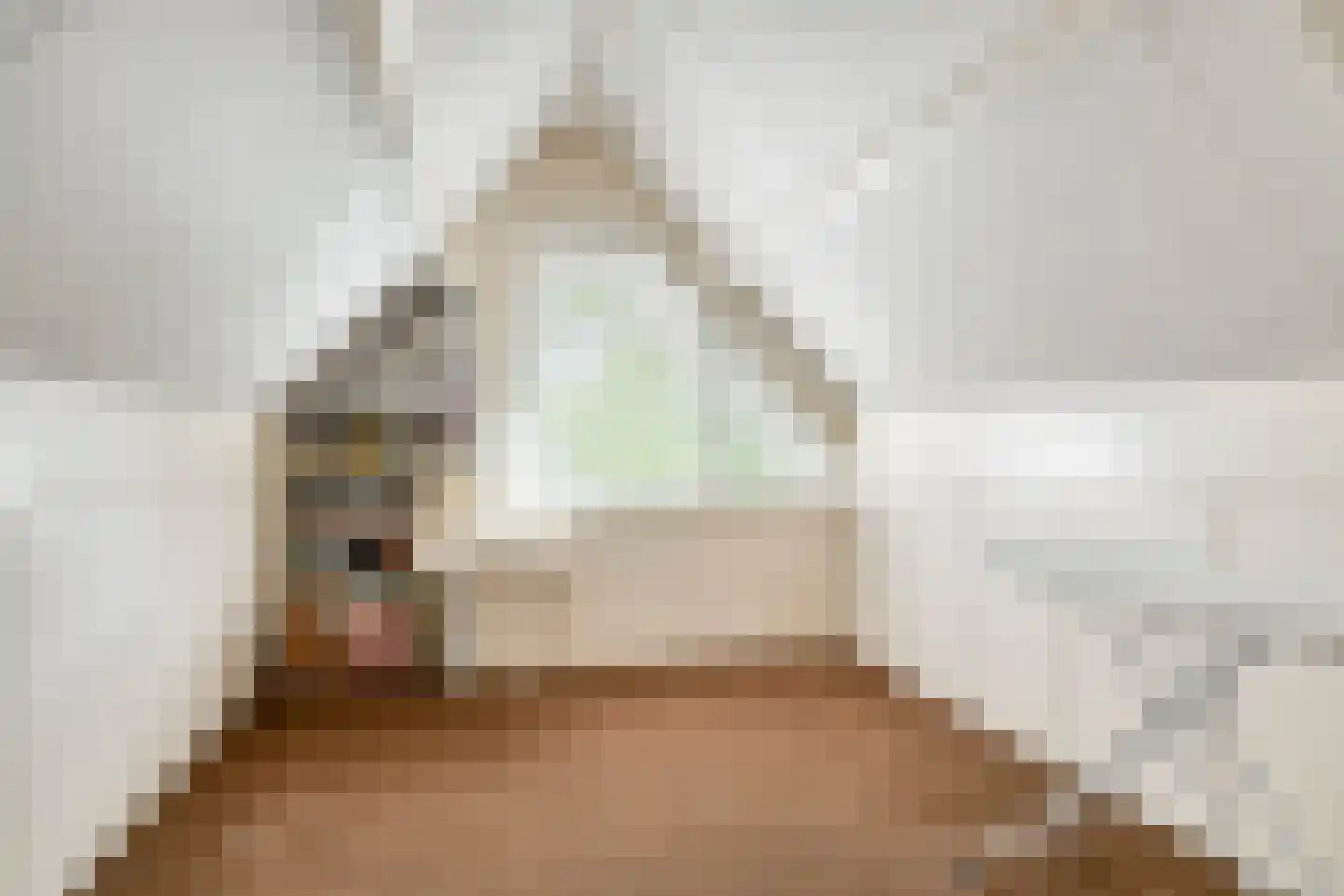 Vleermuislaan 18 Lunteren thumbnail 35