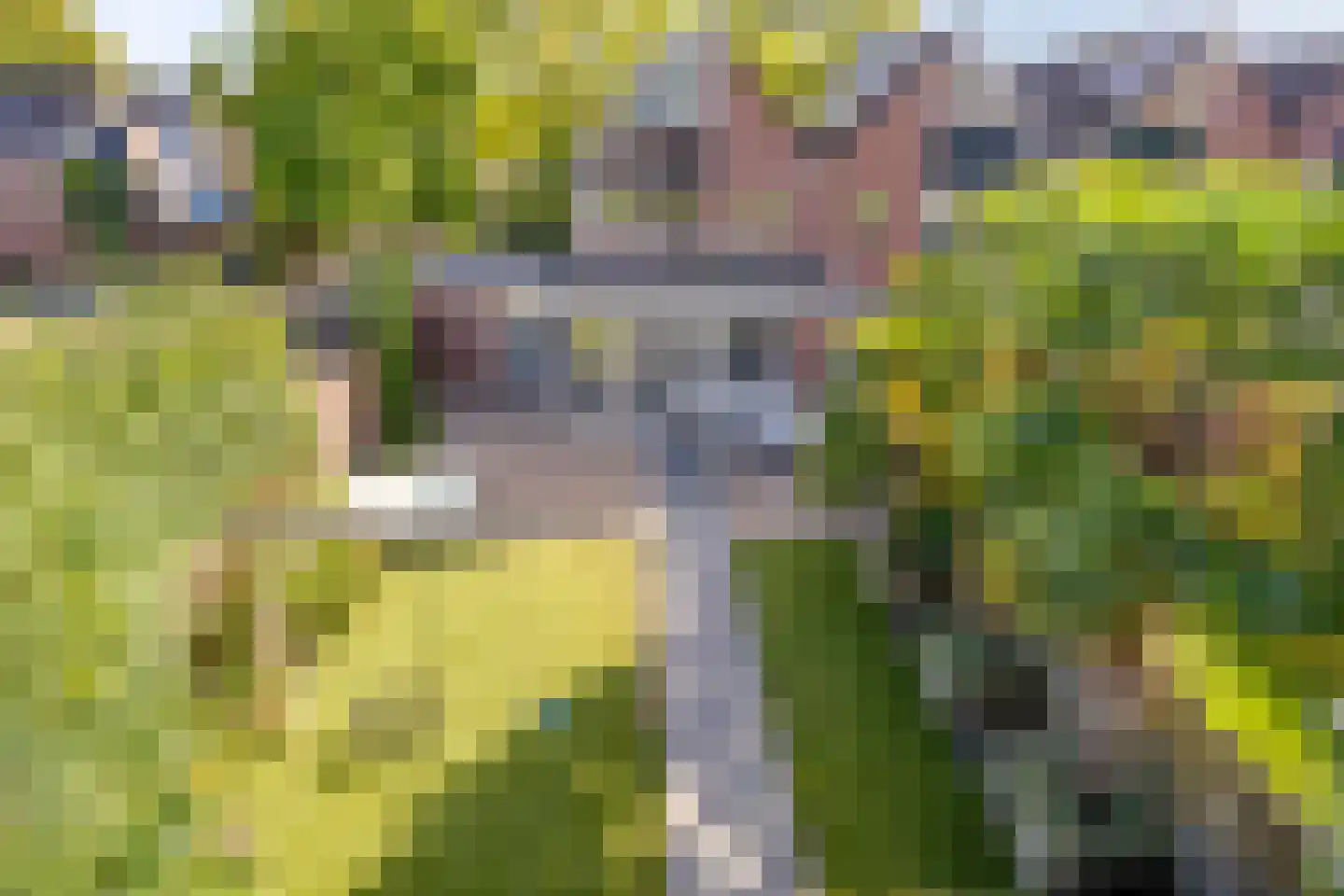Vleermuislaan 18 Lunteren thumbnail 40