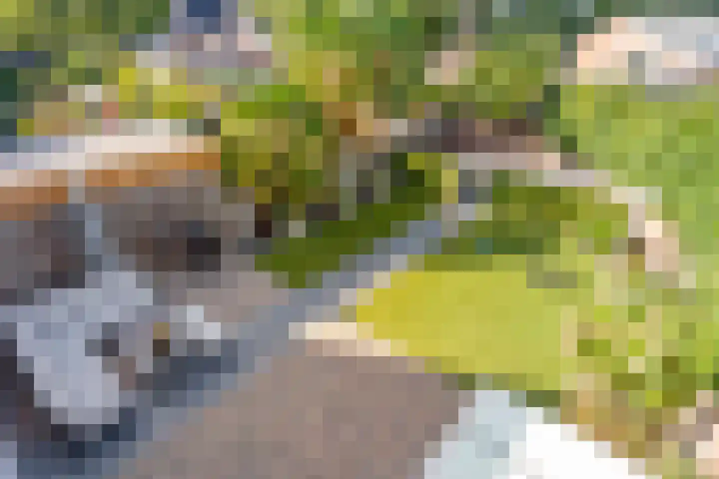 Vleermuislaan 18 Lunteren thumbnail 43