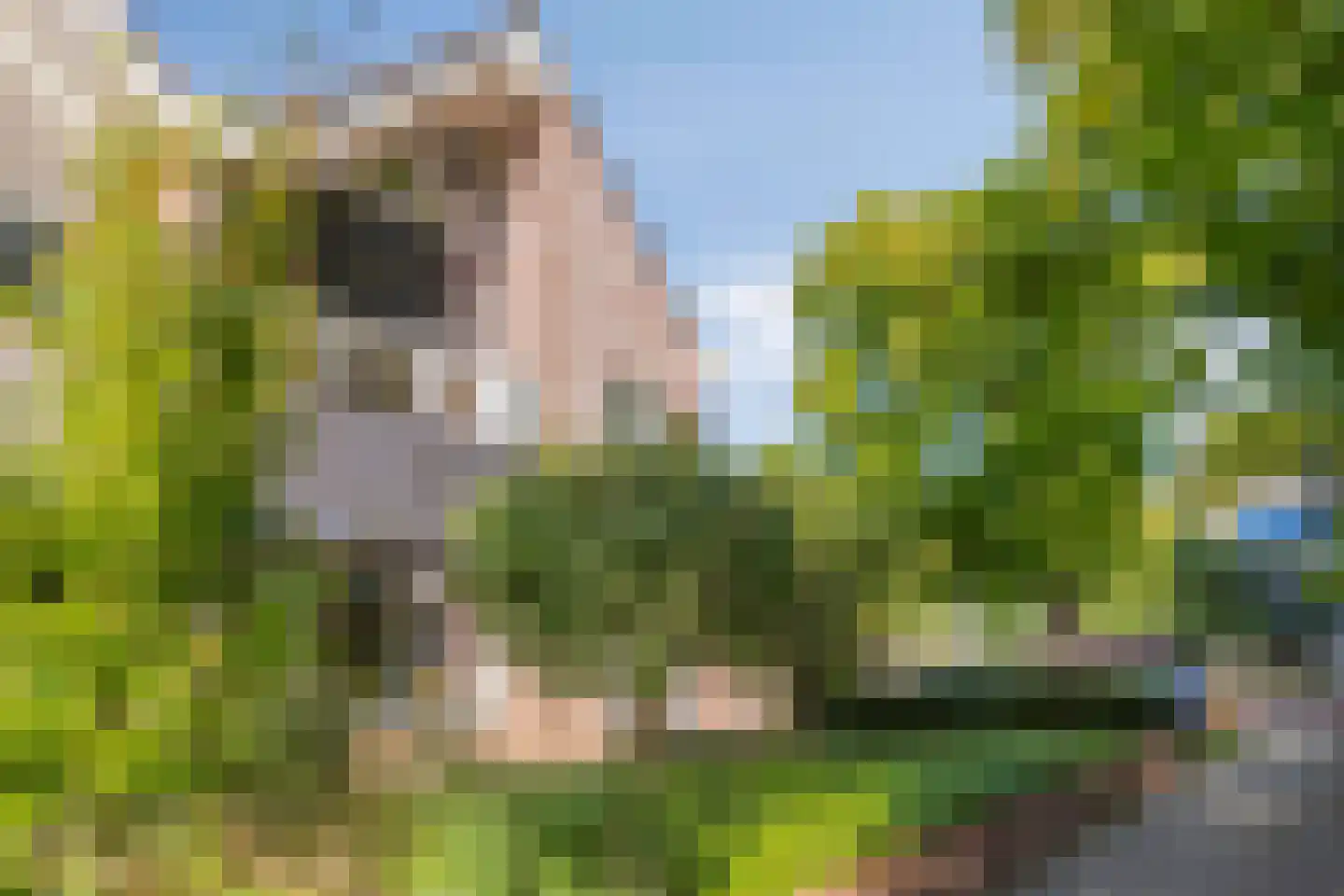 Vleermuislaan 18 Lunteren thumbnail 49