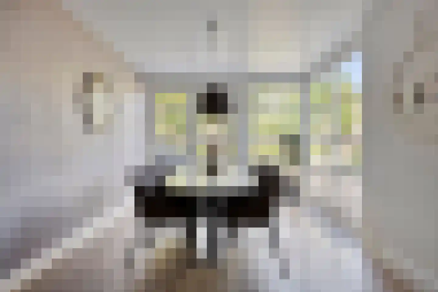 Vleermuislaan 18 Lunteren thumbnail 5
