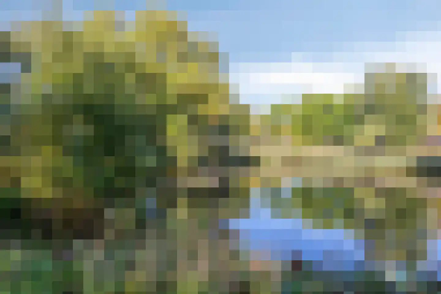 Vleermuislaan 18 Lunteren thumbnail 51