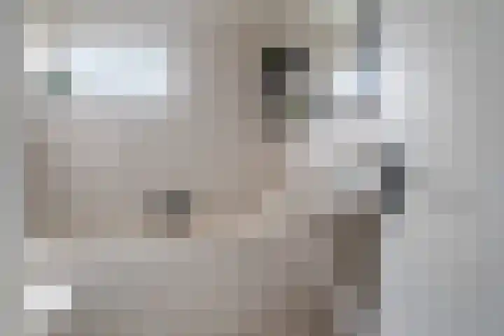 Vleermuislaan 19 Lunteren thumbnail 30