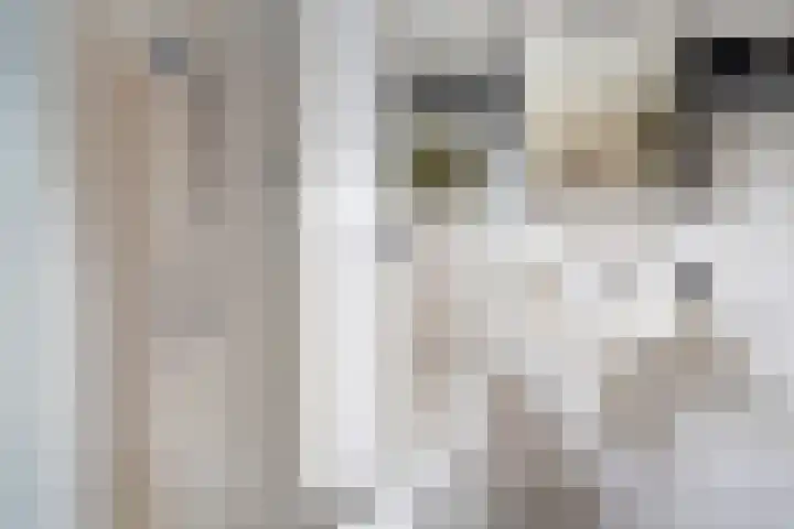 Vleermuislaan 19 Lunteren thumbnail 32