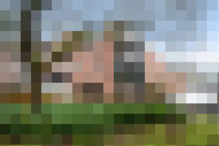 Vleermuislaan 19 Lunteren thumbnail 48