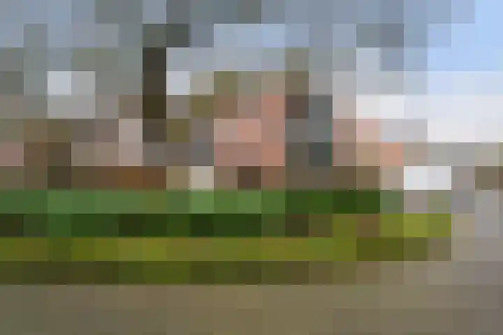 Vleermuislaan 19 Lunteren thumbnail 49