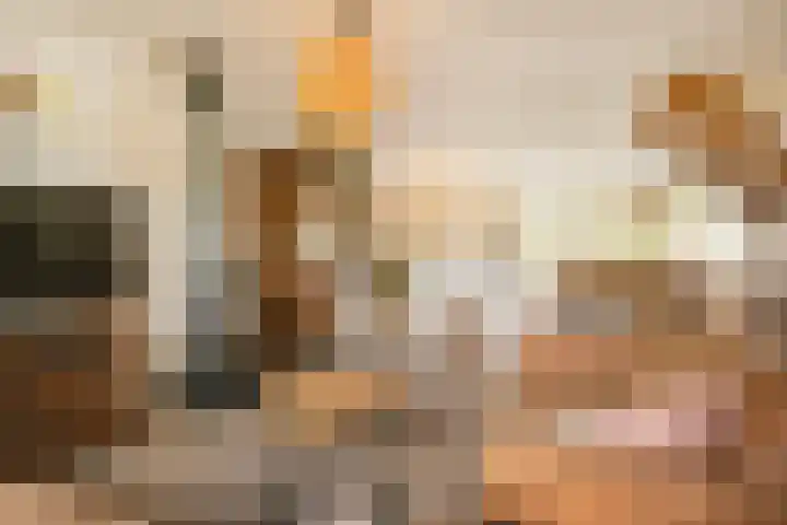 Vleermuislaan 22 Lunteren thumbnail 10