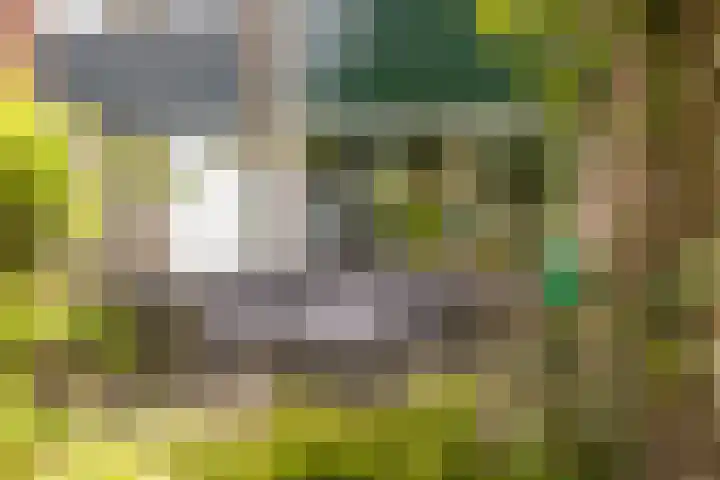 Vleermuislaan 22 Lunteren thumbnail 29