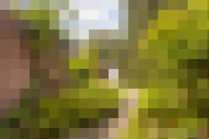 Vleermuislaan 22 Lunteren thumbnail 30