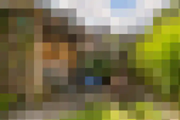 Vleermuislaan 22 Lunteren thumbnail 31