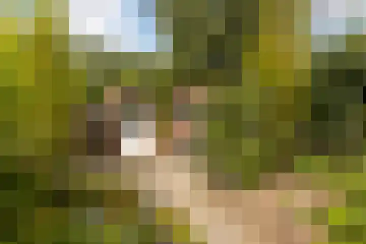 Vleermuislaan 22 Lunteren thumbnail 32
