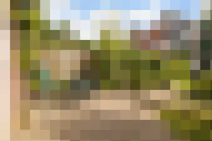 Vleermuislaan 22 Lunteren thumbnail 33
