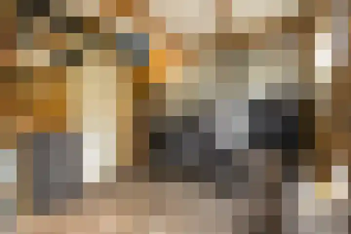 Vleermuislaan 22 Lunteren thumbnail 35