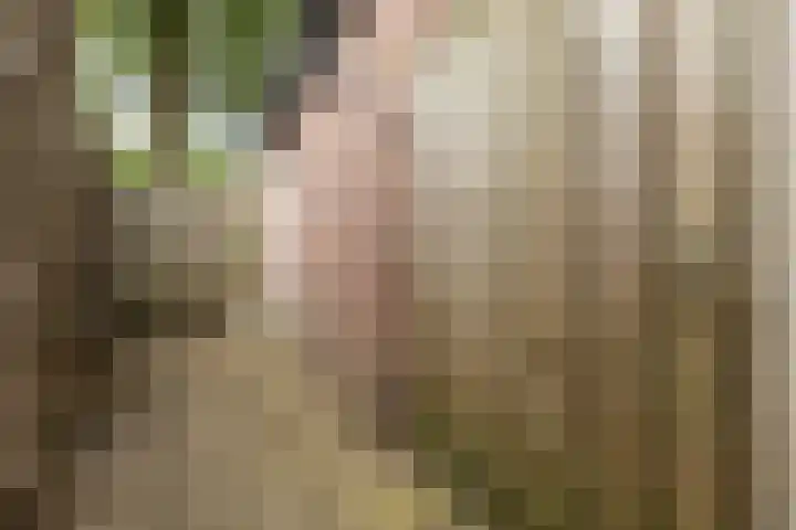 Vleermuislaan 22 Lunteren thumbnail 36
