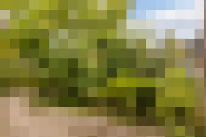Vleermuislaan 22 Lunteren thumbnail 37
