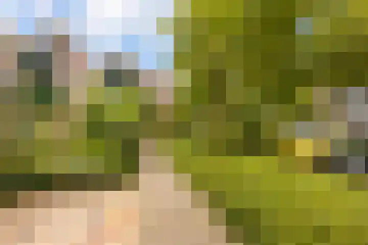 Vleermuislaan 22 Lunteren thumbnail 38