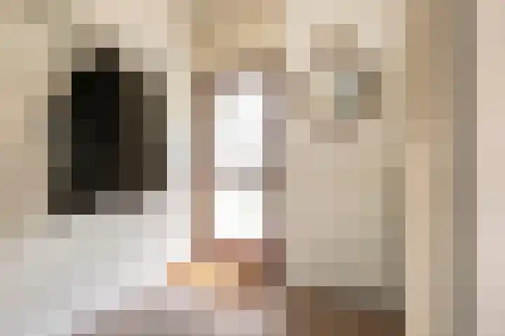 Vleermuislaan 22 Lunteren thumbnail 5