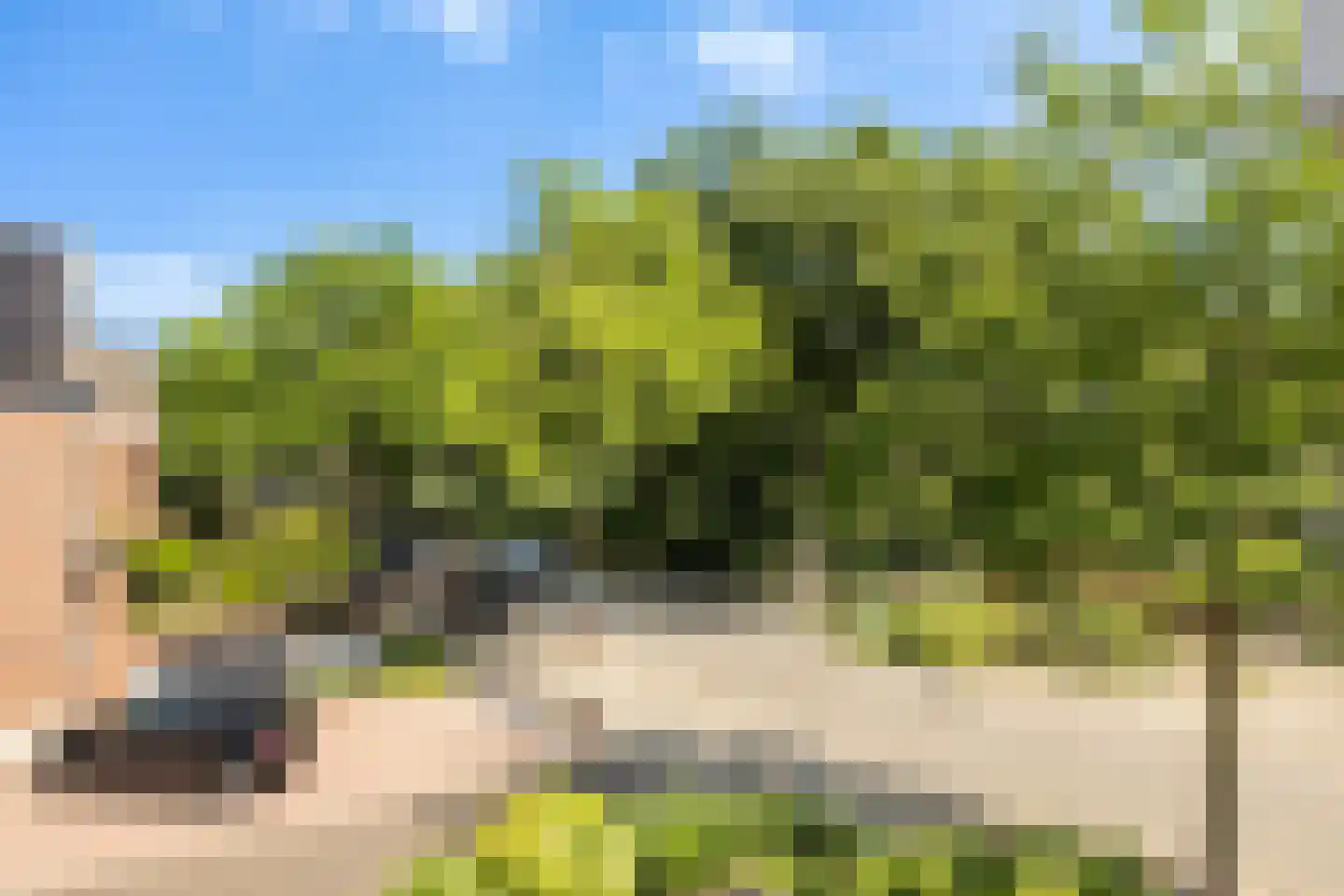 Vleermuislaan 56 Lunteren thumbnail 22