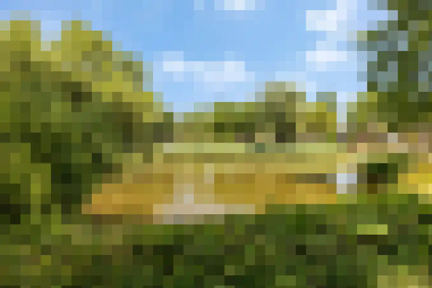 Vleermuislaan 56 Lunteren thumbnail 39