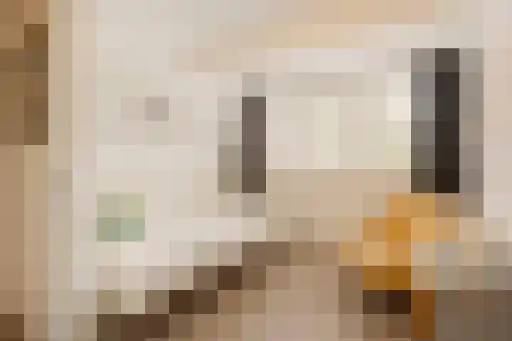 Vleermuisstraat 28 Hengelo thumbnail 24