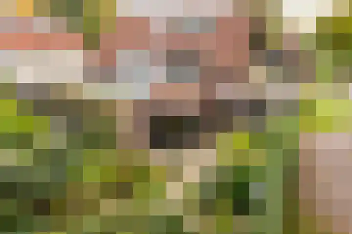 Vleermuisstraat 28 Hengelo thumbnail 31