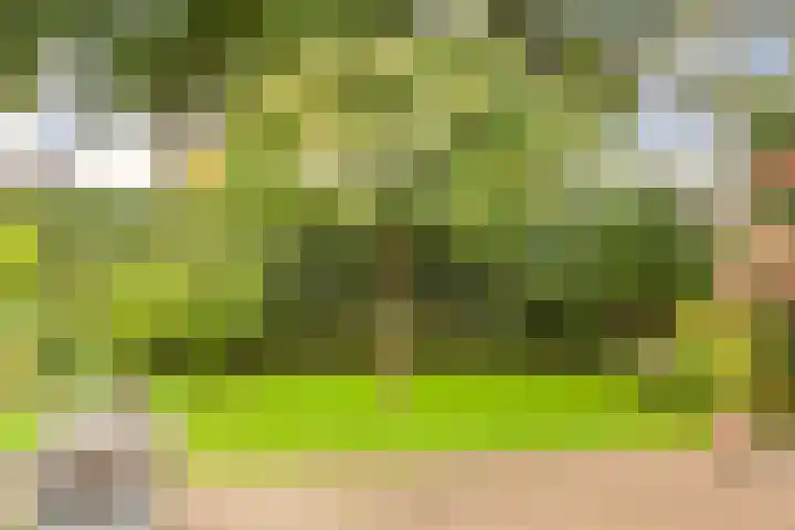 Vleermuisstraat 28 Hengelo thumbnail 36