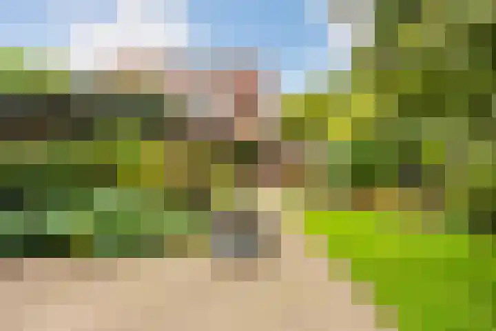 Vleermuisstraat 28 Hengelo thumbnail 37