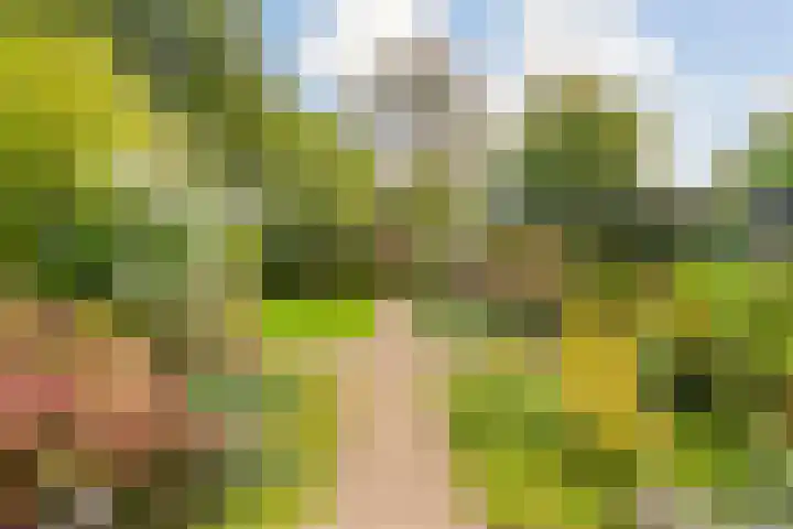 Vleermuisstraat 28 Hengelo thumbnail 4
