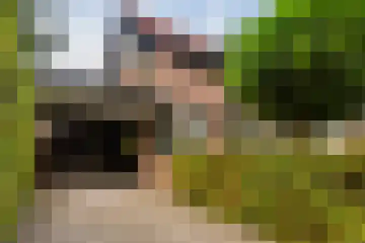 Vleermuisstraat 28 Hengelo thumbnail 7