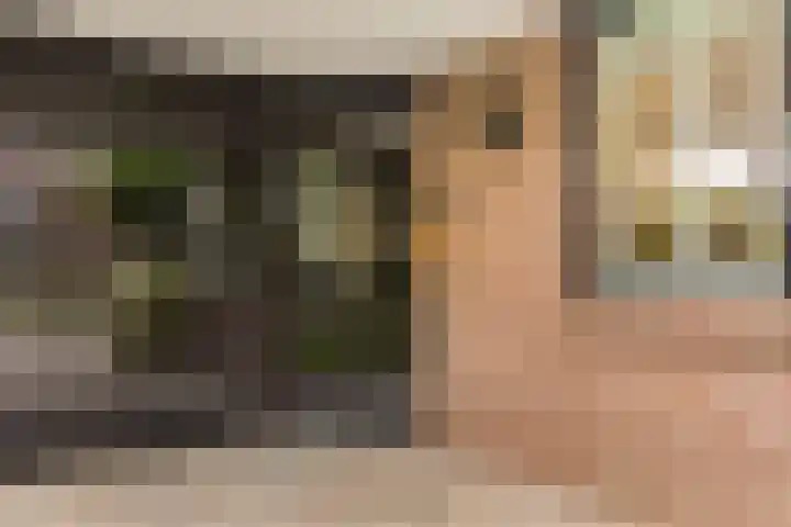 Vleermuisstraat 28 Hengelo thumbnail 8