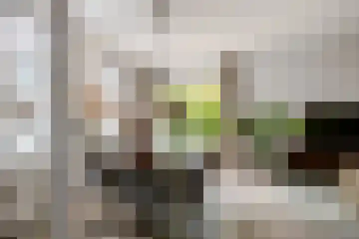 Vleerplein 11 Moordrecht thumbnail 18