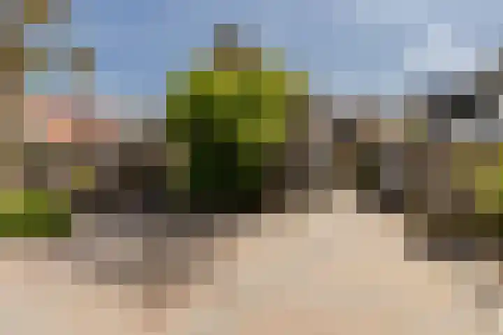Vleerplein 11 Moordrecht thumbnail 41