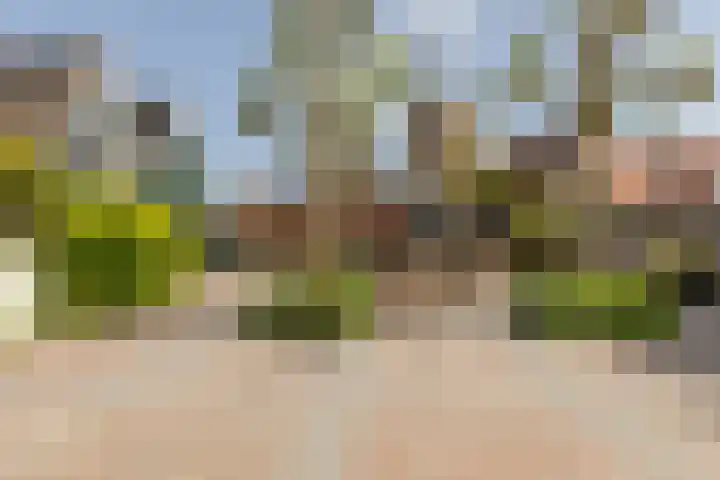 Vleerplein 11 Moordrecht thumbnail 43