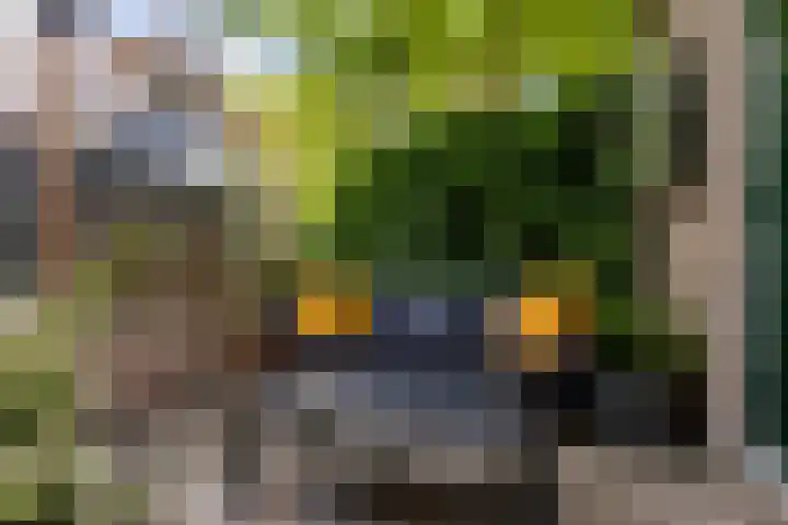 Vleerplein 11 Moordrecht thumbnail 45