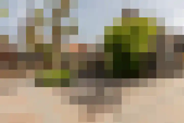 Vleerplein 11 Moordrecht thumbnail 6