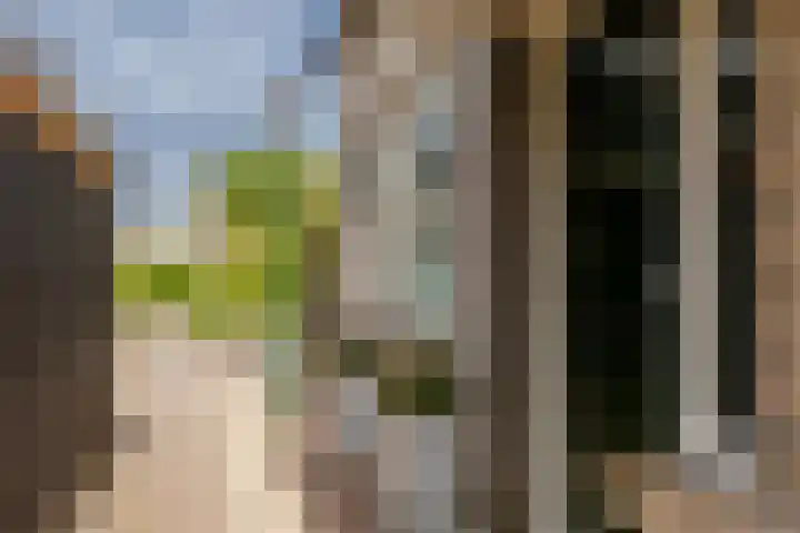 Vleerplein 11 Moordrecht thumbnail 7